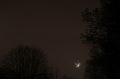 silvester004