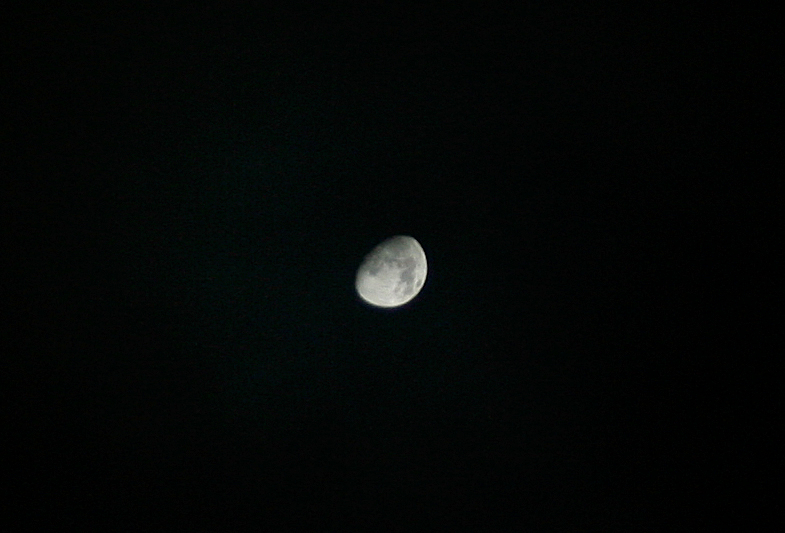 mond001.jpg